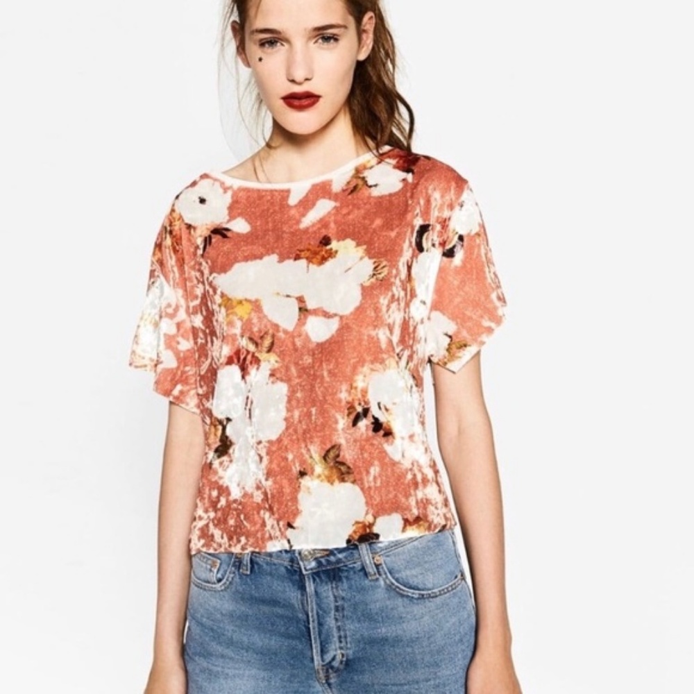 Zara Crushed Velvet Boxy Top with Sheer Back